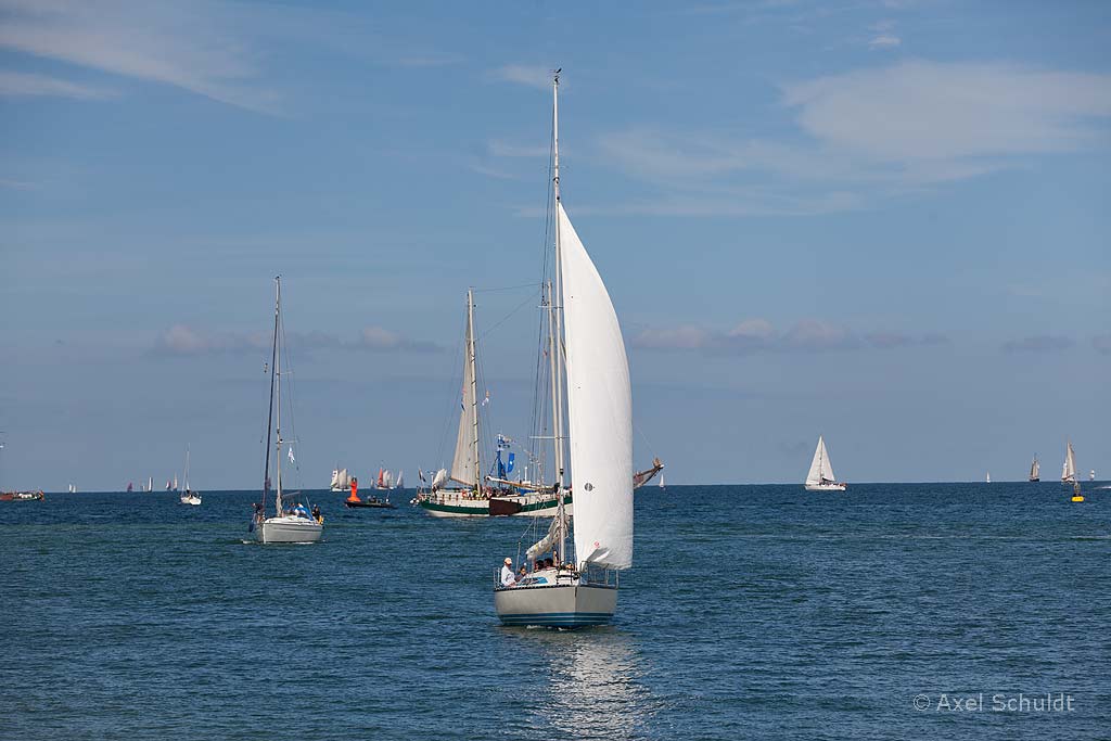 Einlaufende Segelboote bei der Hanse-Sail 2013